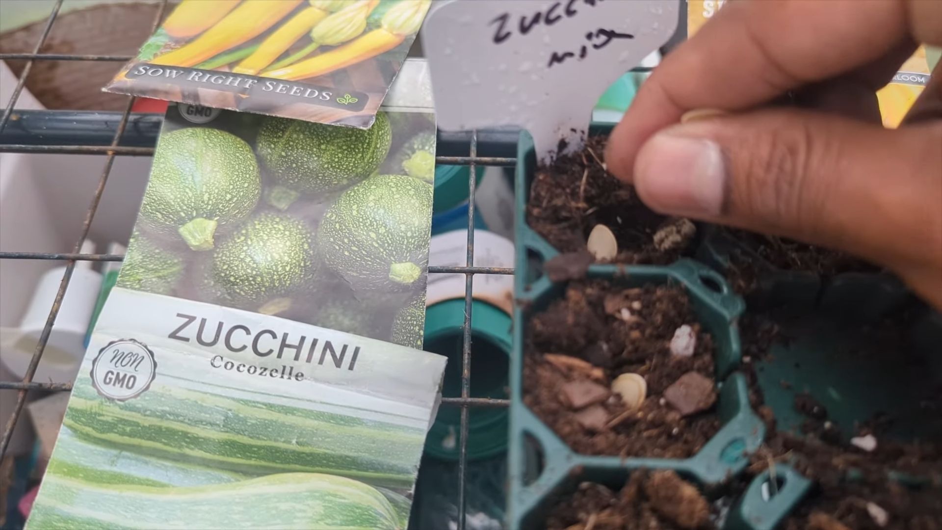 Zucchini Anbau Terrasse