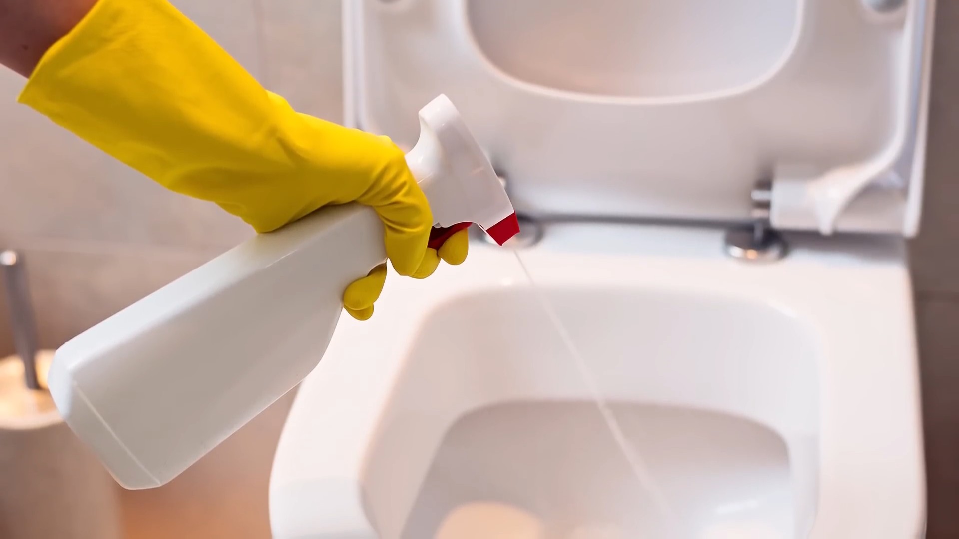 Essig Toilette Reinigen