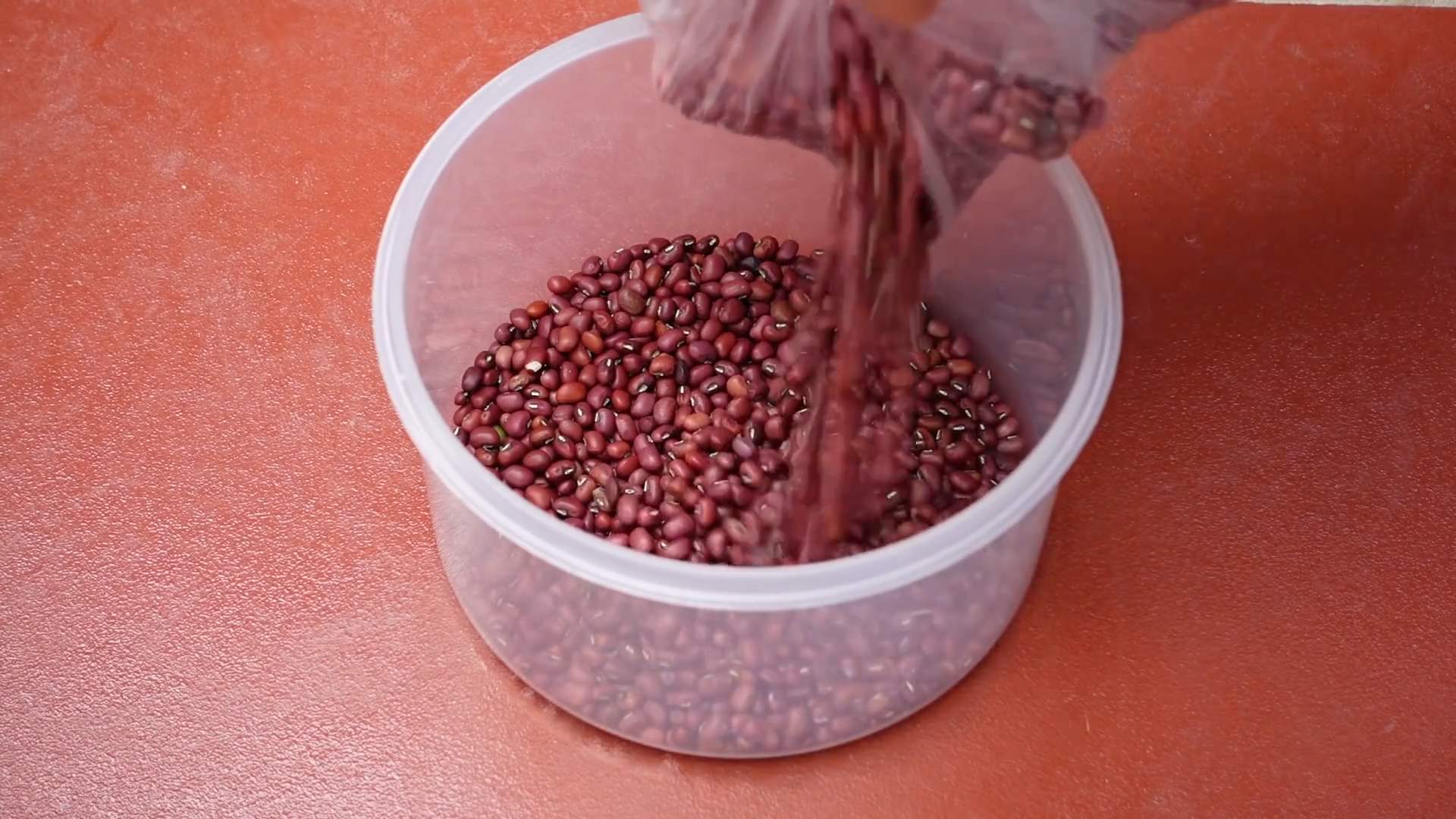 Bohnensprossen selber ziehen