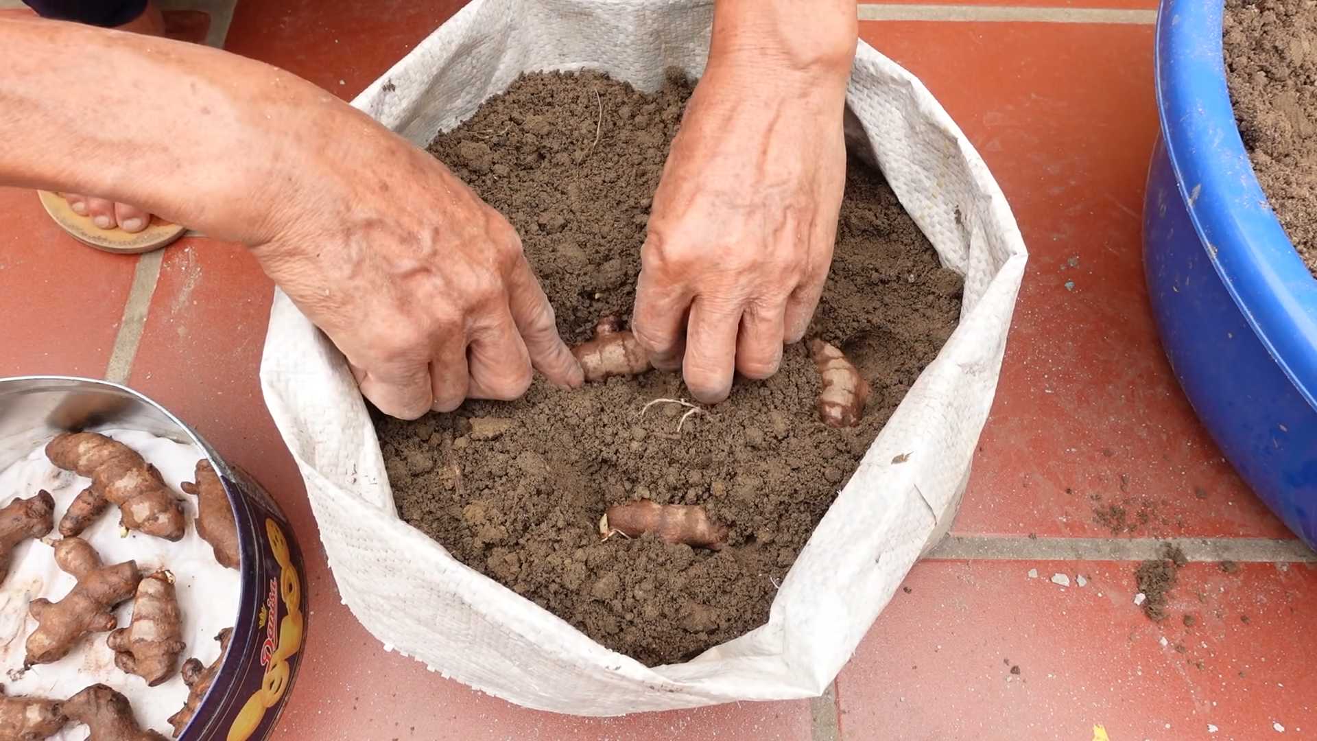 Kurkuma Vorrat DIY